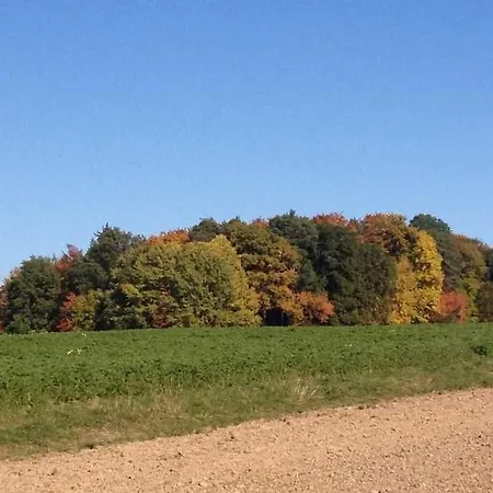 Waldblick * Bad Konig