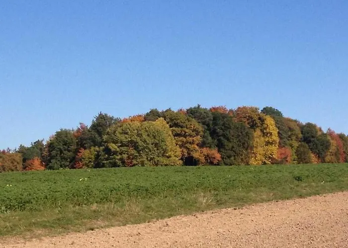 Waldblick * Bad König